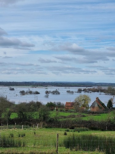 Au coeur des marais blancs