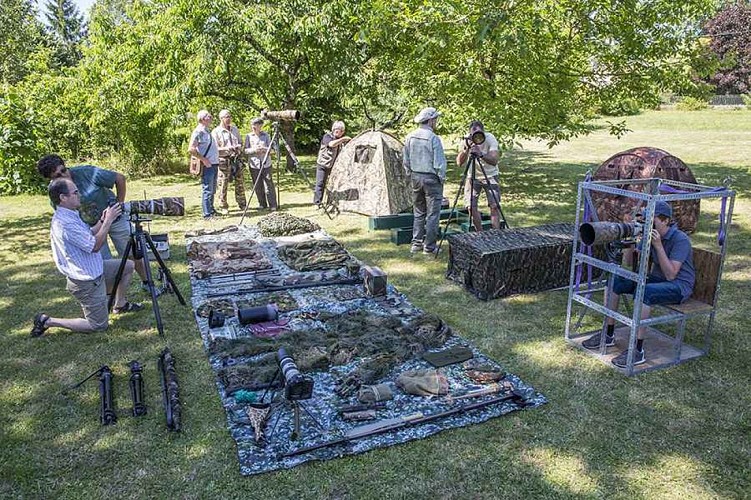 Stage photo animalière
