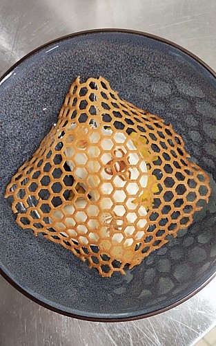 11d11cd9-e820-4e74-8b7d-98cec5bab8bc