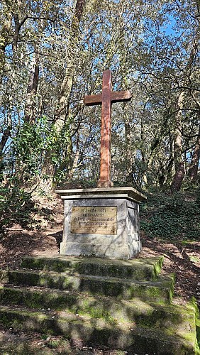Histoire Dune Forêt