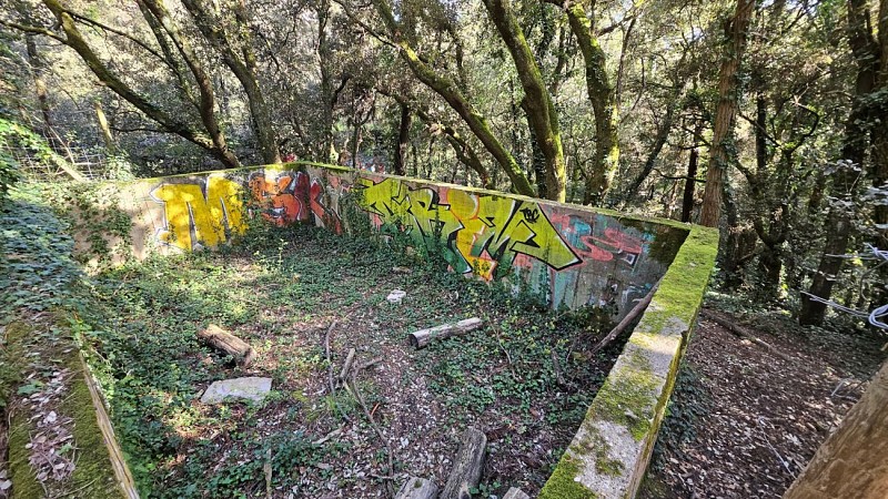 Histoire Dune Forêt