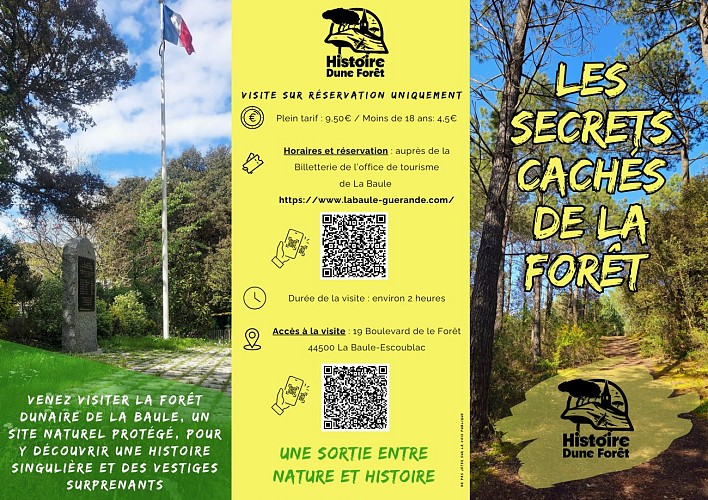 Histoire Dune Forêt