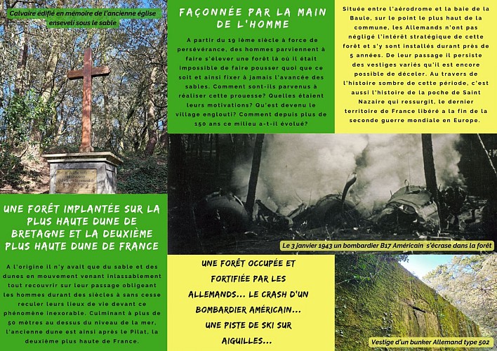 Histoire Dune Forêt