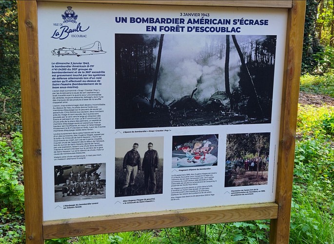 Histoire Dune Forêt