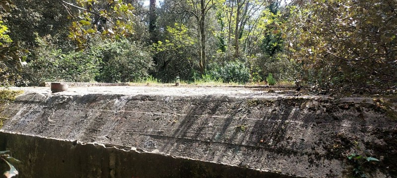 Histoire Dune Forêt