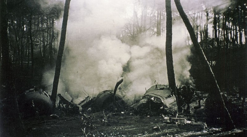 Histoire Dune Forêt