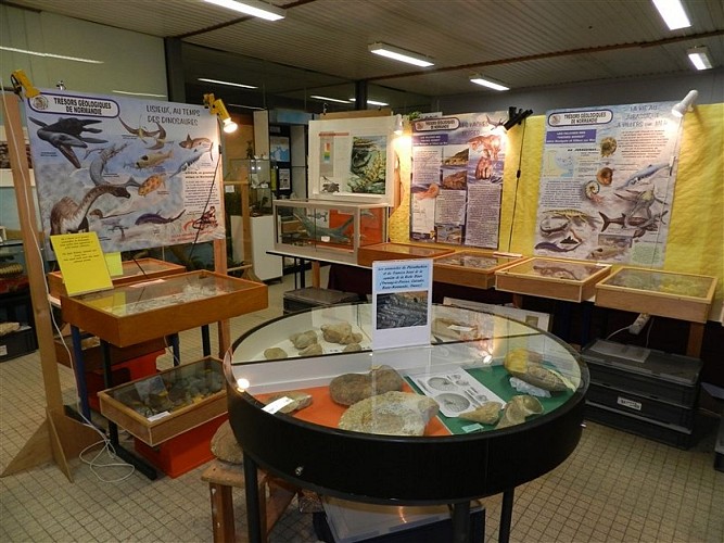Musée Trésors géologiques de Normandie