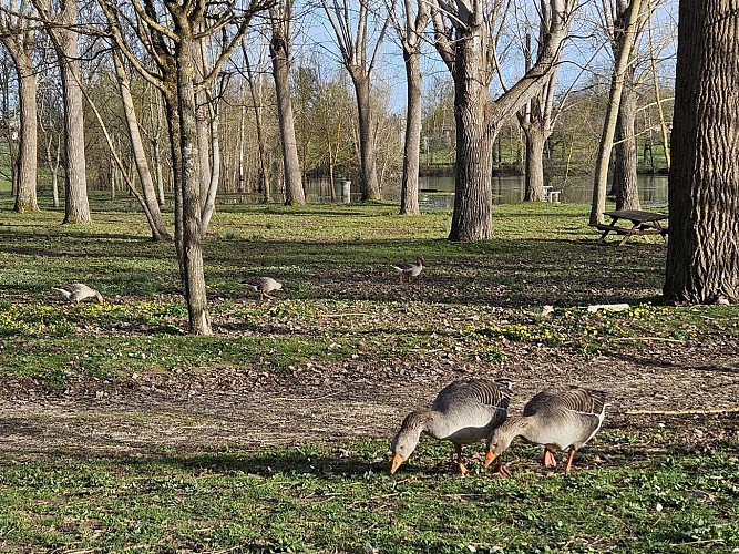 Parc de la Lère