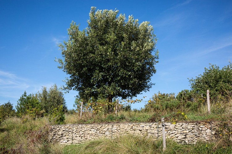 Éco-parc des carrières René-Dumont