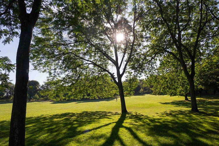 Parc du Plateau