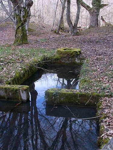 Pourquoi Fontaines ?