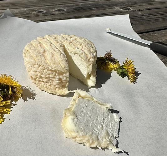 Coslédaà-Lube-Boast Histoire de Chèvres @ Morgane MAN (3)