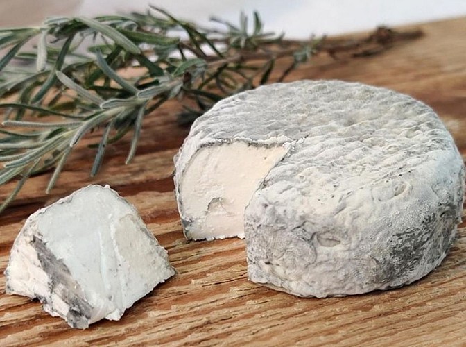 Coslédaà-Lube-Boast Histoire de Chèvres @ Morgane MAN (4)