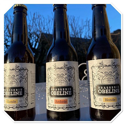 408960647_122109523424213984_23835541626195289_n