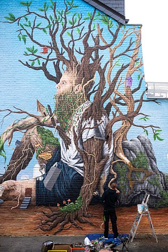 Fresque Murale - Robin Bodéüs