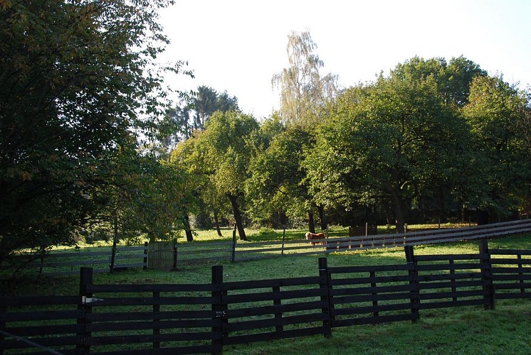 Le Blanc-Ry ou ‘ruisseau blanc’