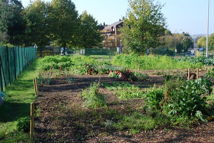 Le bois de l’Escavée dans le quartier de La Croix