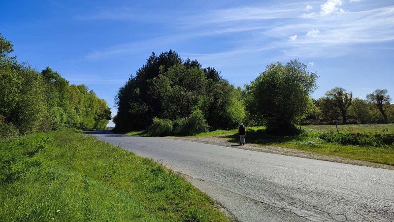 Le chemin sur la droite