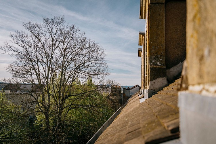 appart delalonde vue jardin 3