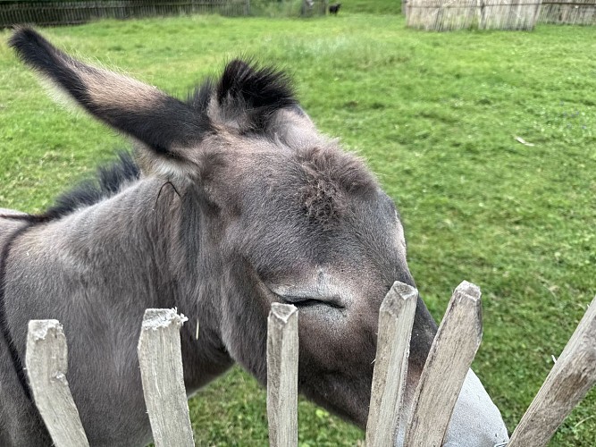 Meublé la belle vallée