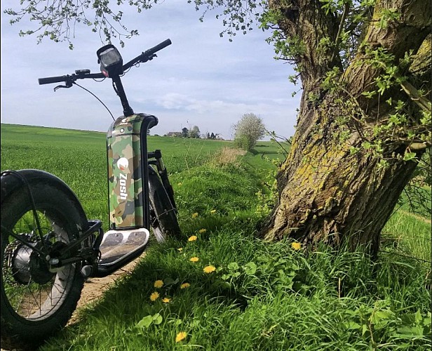 Capture d'écran 2024-05-02 092654