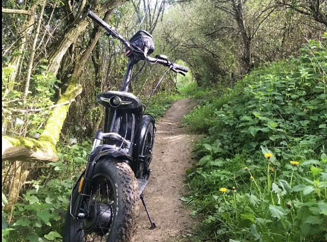 Capture d'écran 2024-05-02 093301