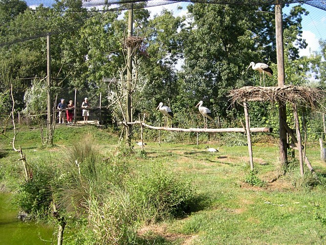 Volière du Parc ornithologique Les Oiseaux du Marais poitevin