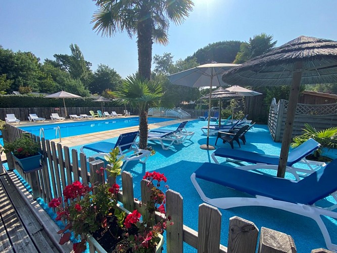Piscine - Camping Les Ecureuils - Bassin Arcachon (6) - web
