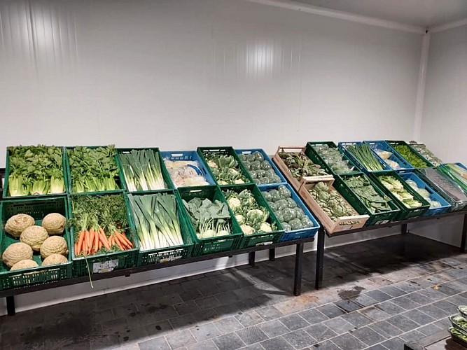 227217850_4699417713410510_7749689781795140403_n