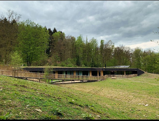 Le terrier des Géants