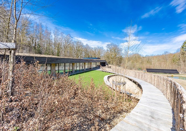 Le terrier des Géants