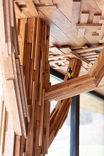 Le terrier des Géants