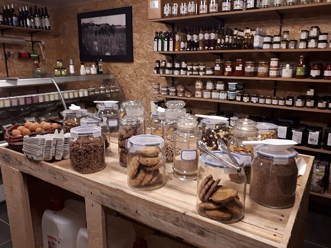 263222356_2714309502198251_2159657171765904942_n