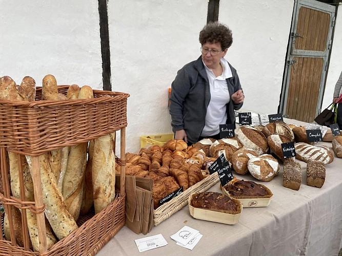 314050542_472311771546107_3379899605932946463_n