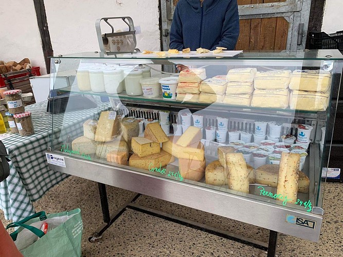 395988568_667564528687496_4836010505869831132_n