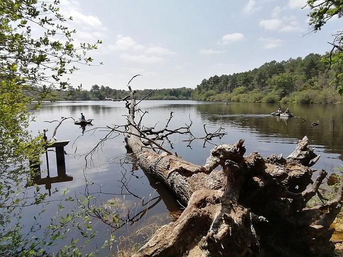 Étang de pêche de Chambiers