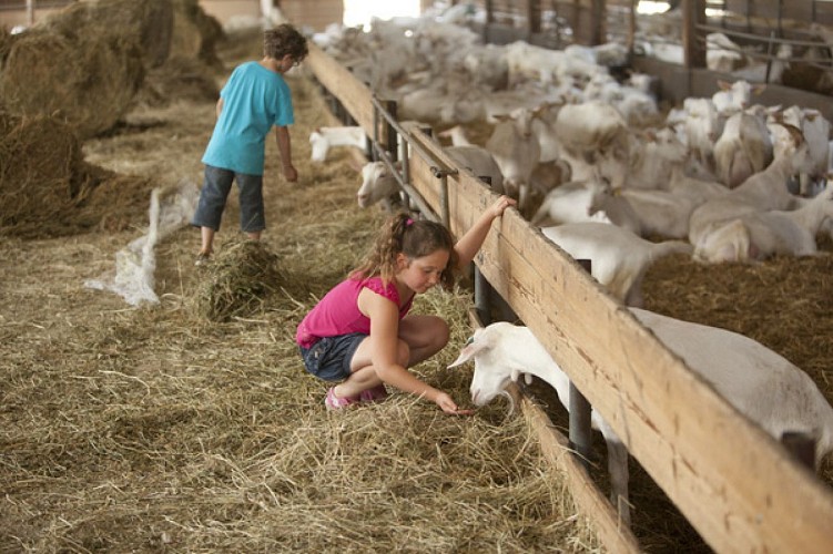 La ferme des fillaos