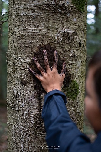 Expérience de nature au cœur de la forêt d'Allagnat