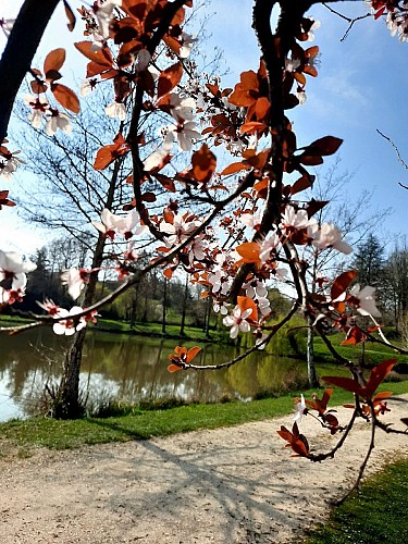 Plan d'eau du Coucut