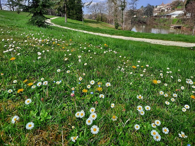 Plan d'eau du Coucut