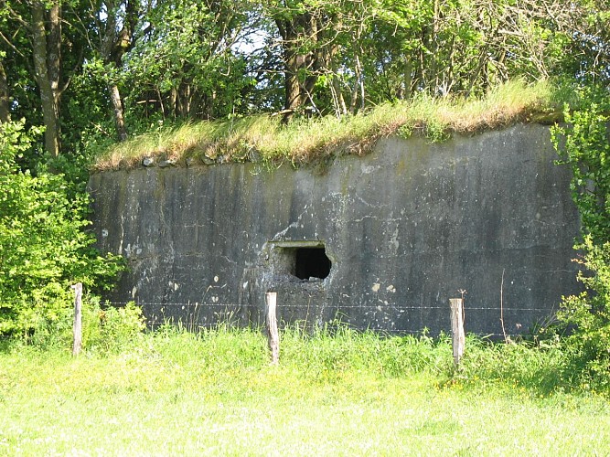Bunker von Beho