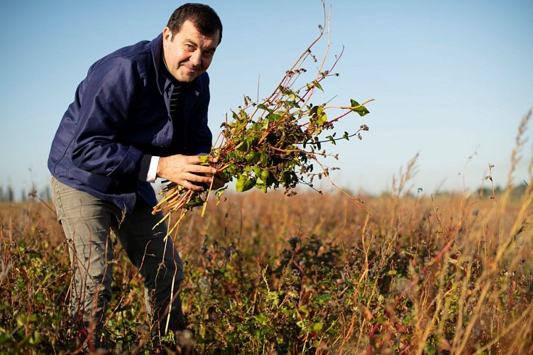 Restaurant Breizh Café - Biarritz - Chef