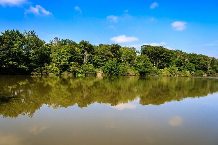 Etang du Pesqué a Perchède