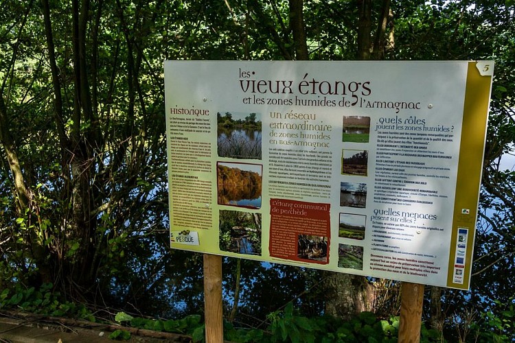 Etang du Pesqué a Perchède