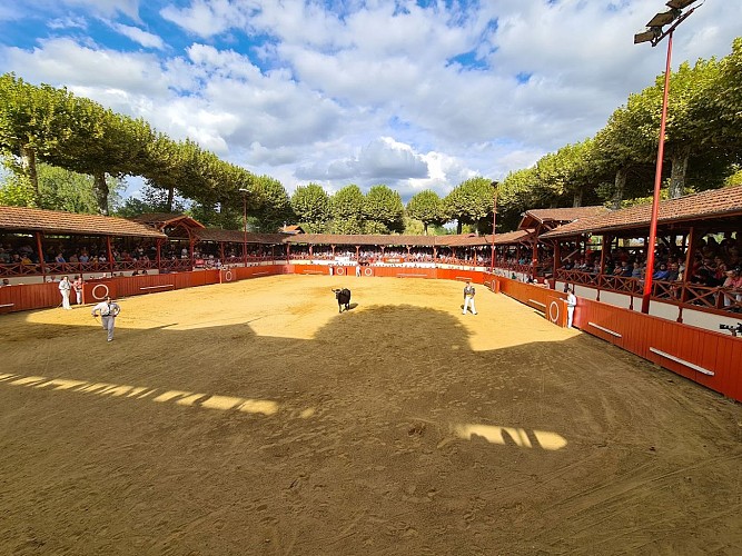Arènes d'Estang