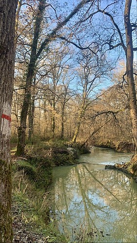 Forêt communale de Monlezun d'Armagnac