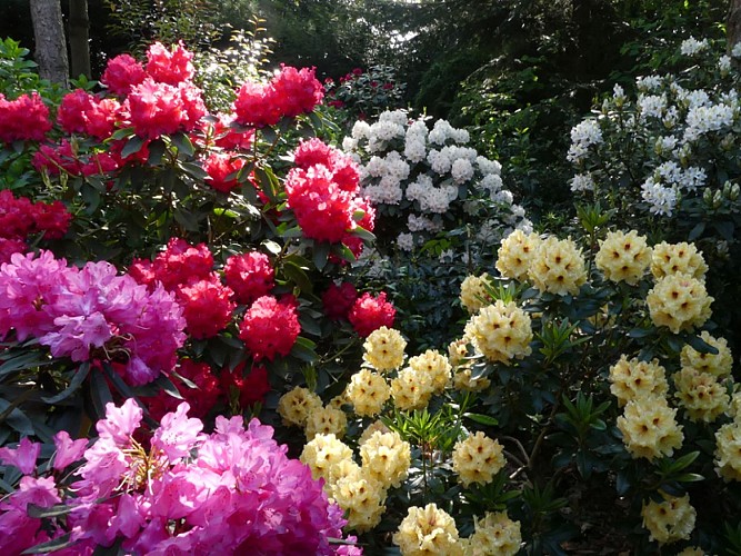 LeClosDesSequoias6-JRGedon2024