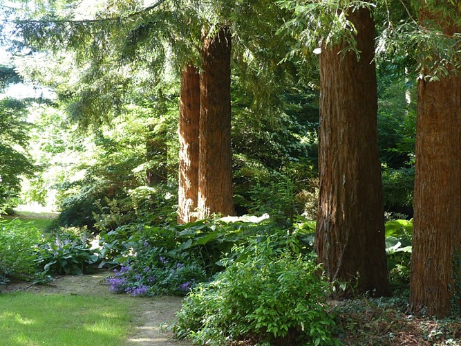 LeClosDesSequoias3-JRGedon2024