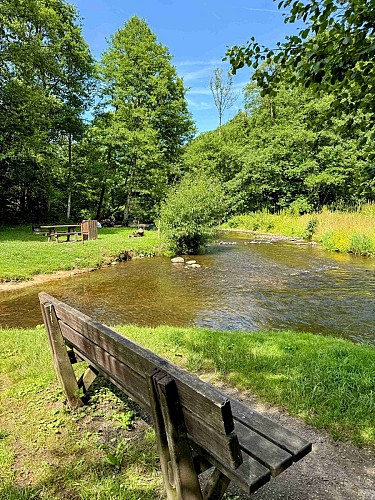 Tellin_promenade_du_pont_des_cloyes©MTFSH_TEXTO_Pascal_Willems_(12)