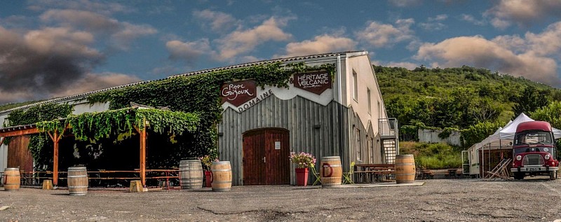 Balade vigneronne au domaine Héritage Volcanic